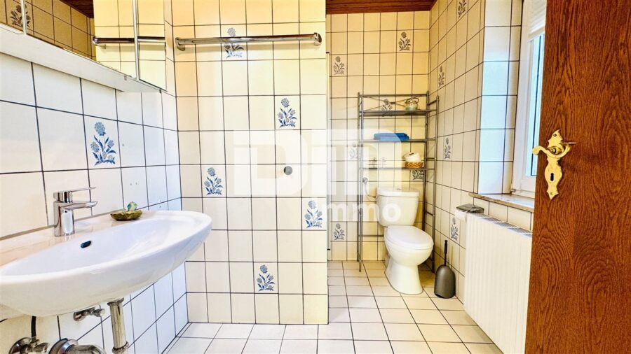Einfamilienhaus BJ 1980 mit Einliegerwohnung, Studio + Dachterrasse - Souterrain Einliegerbereich Badezimmer / Dusche